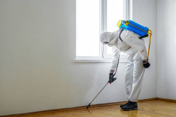 Trusted Winston, OR Pest Control Experts