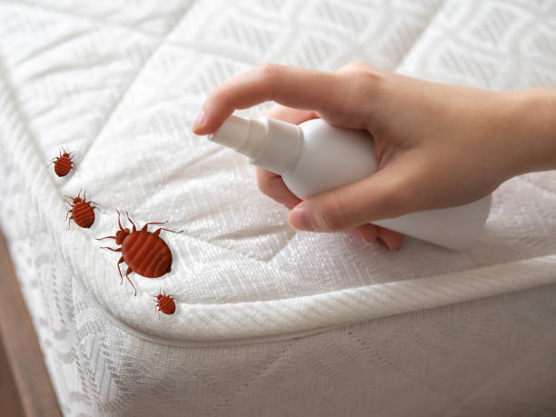 Insect Control in Winston, OR